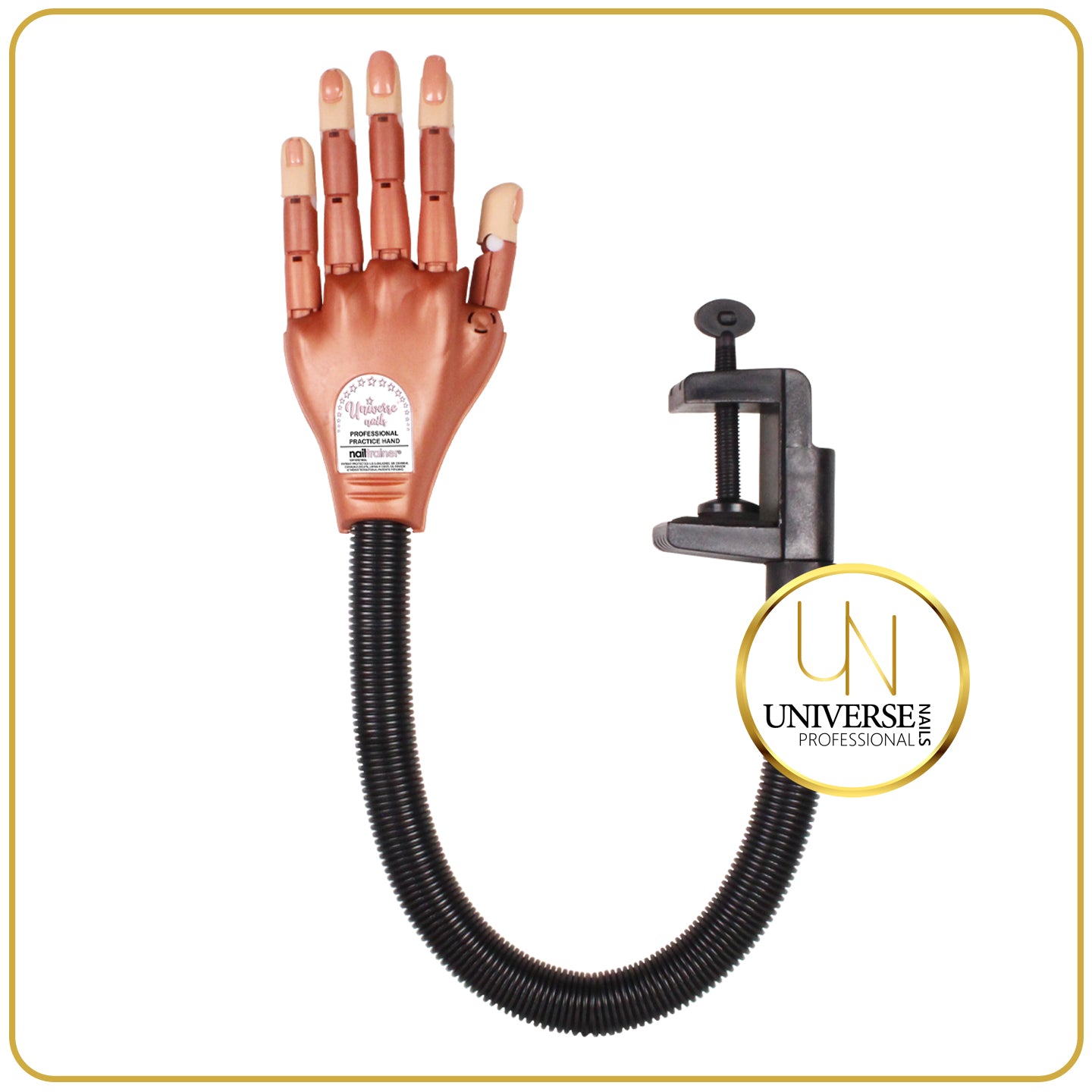 PROFESSIONAL PRACTICE HAND